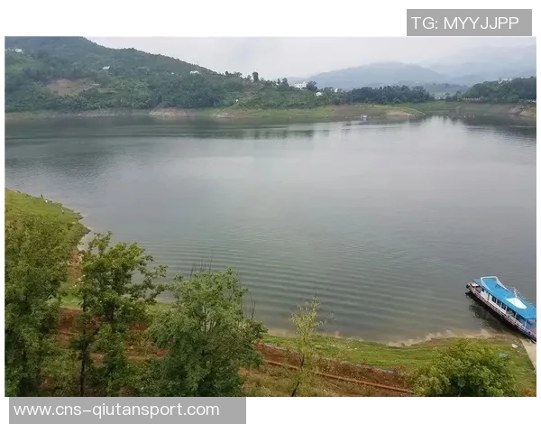 足球即时盘分析与预测技巧助你精准把握赛事动态与投注机会